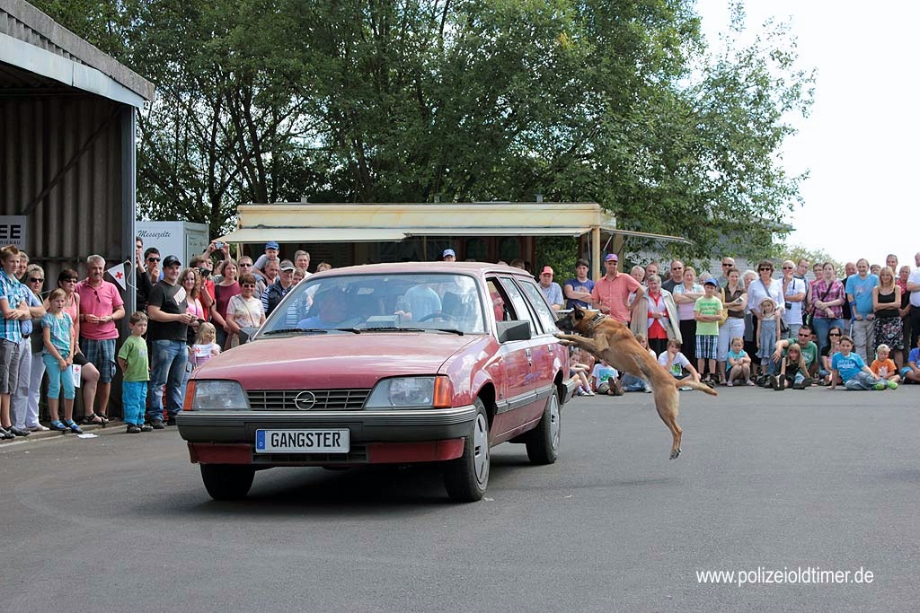 Sommerfest-Polizeioldtimer-Museum_2012 (222).jpg